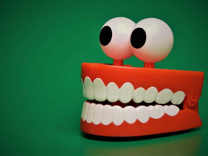a tooth model