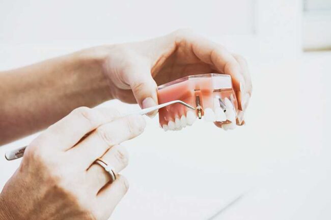 someone brushing a model of teeth