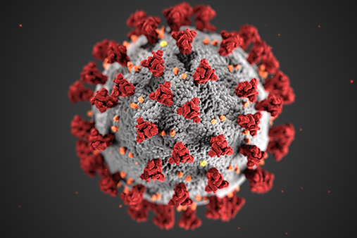 Coronavirus molecule